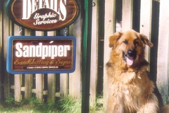 cedar - the worlds best dog and a nice sign too